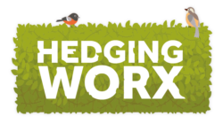 Hedgingworx – FREE Hedge Planting in Perthshire
